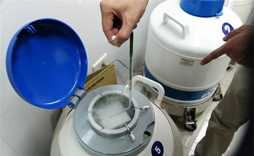 vua vo sinh lai ung thu gan, nguoi chong quyet tam gui tinh trung va cai ket bat ngo - 2