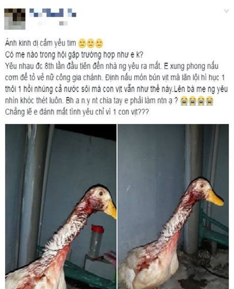 Cách thịt vịt kinh dị của cô gái lần đầu làm thịt nhận được nhiều ý kiến của cộng đồng mạng.