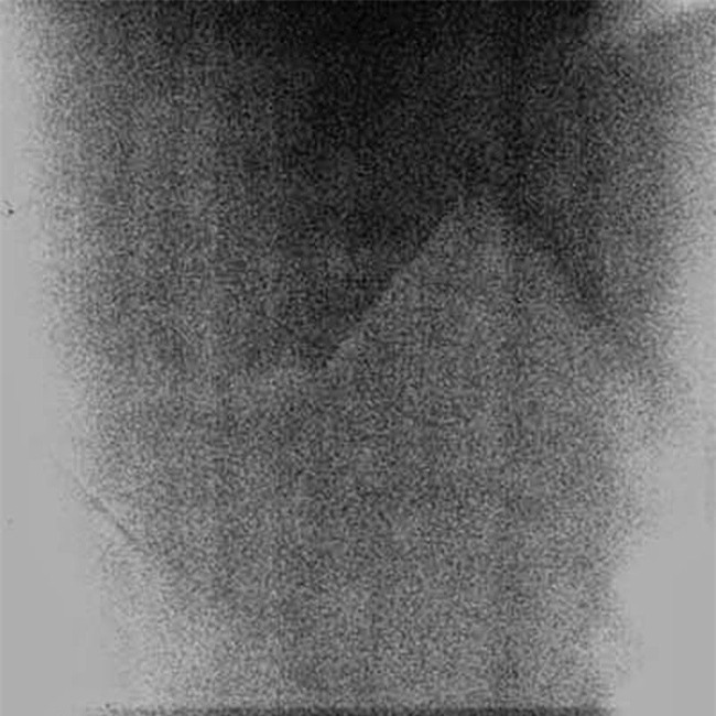 10 bức ảnh bí ẩn không có lời giải đáp của thế kỷ - Ảnh 8.