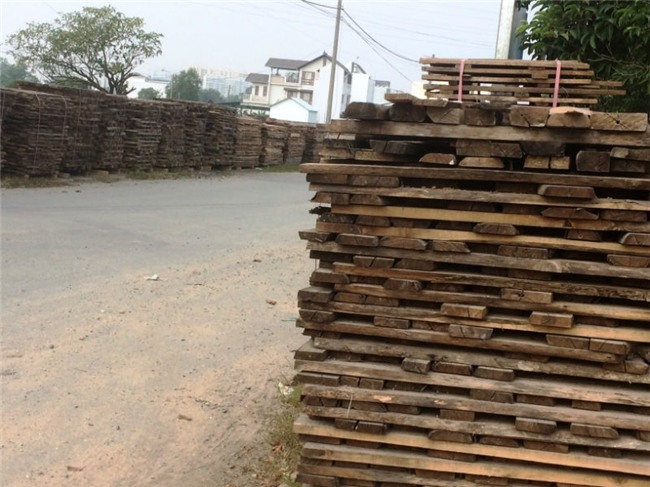 bãi gỗ khủng của đại gia Sài Gòn, bãi gỗ khủng gây bất an khu dân cư ở phường Phú Hữu, bãi gỗ của đại gia làm dân bức xúc