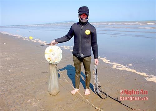Rum biển, hải sản, săn rum biển, nghề 'hot', 'thần dược' đàn ông, Nghệ An