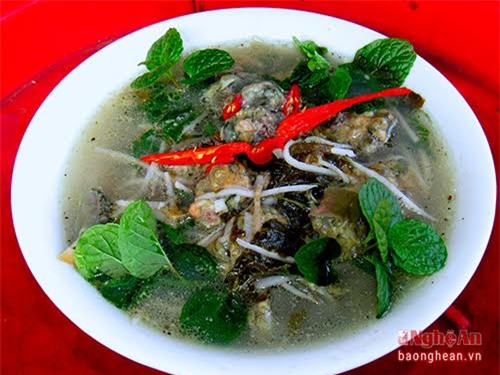 Rum biển, hải sản, săn rum biển, nghề 'hot', 'thần dược' đàn ông, Nghệ An