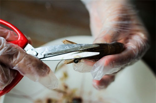 vet sach noi com voi tom sot chua ngot hinh anh 4