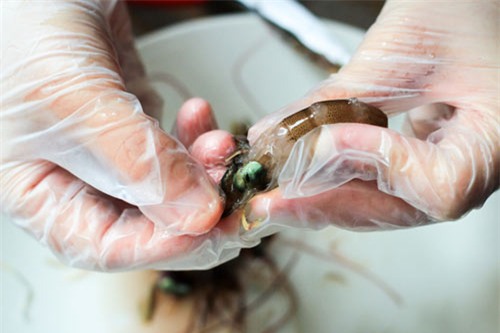 vet sach noi com voi tom sot chua ngot hinh anh 6