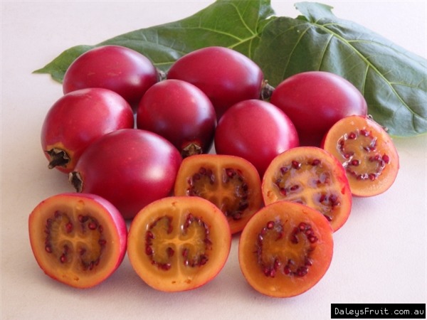 Cà chua giá 1 triệu đồng/kg gây sốt: Có gì bổ dưỡng mà giá cao ngất ngưởng? - Ảnh 2.