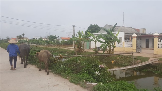 Đoàn Thị Hương, Doan Thi Huong, Kim Jong Nam