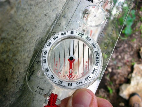 12 con giap va phuong vi may man trong nha - 1