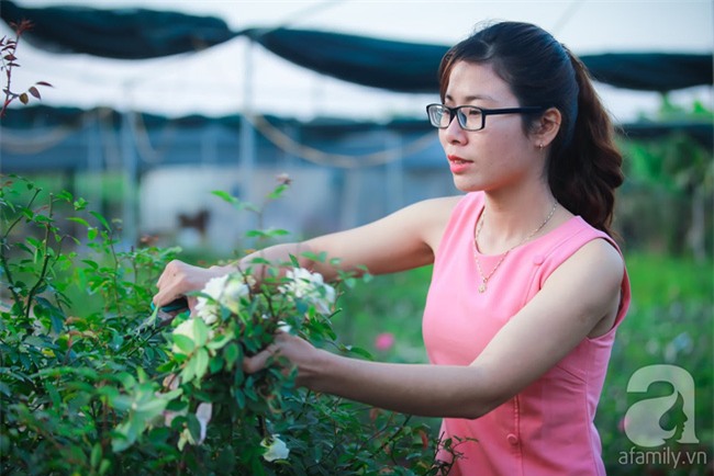 Lạc lối giữa vườn hồng rộng đến 5000m² của cô gái 9x ở Hà Nội - Ảnh 1.