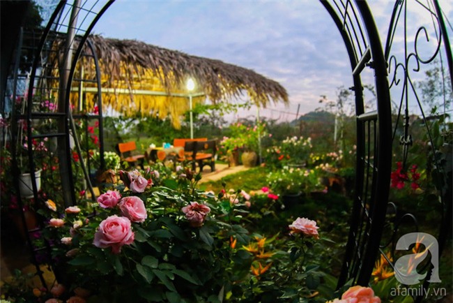Lạc lối giữa vườn hồng rộng đến 5000m² của cô gái 9x ở Hà Nội - Ảnh 18.
