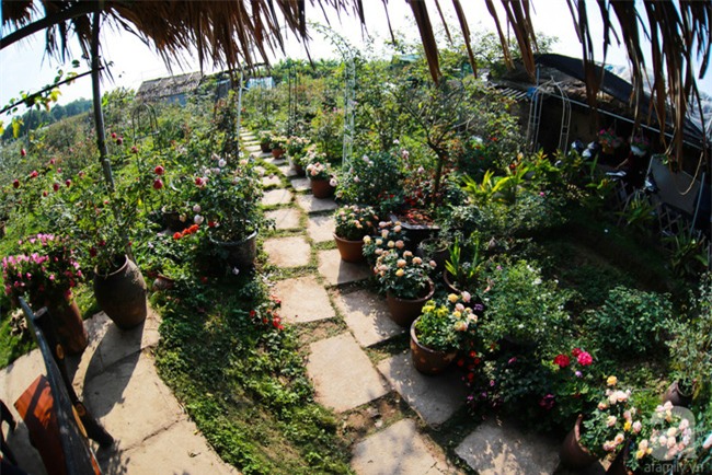 Lạc lối giữa vườn hồng rộng đến 5000m² của cô gái 9x ở Hà Nội - Ảnh 2.