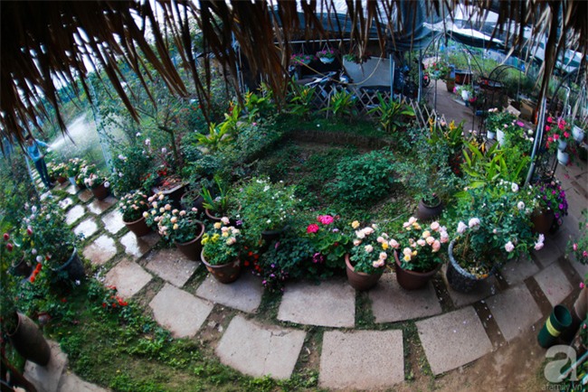 Lạc lối giữa vườn hồng rộng đến 5000m² của cô gái 9x ở Hà Nội - Ảnh 8.