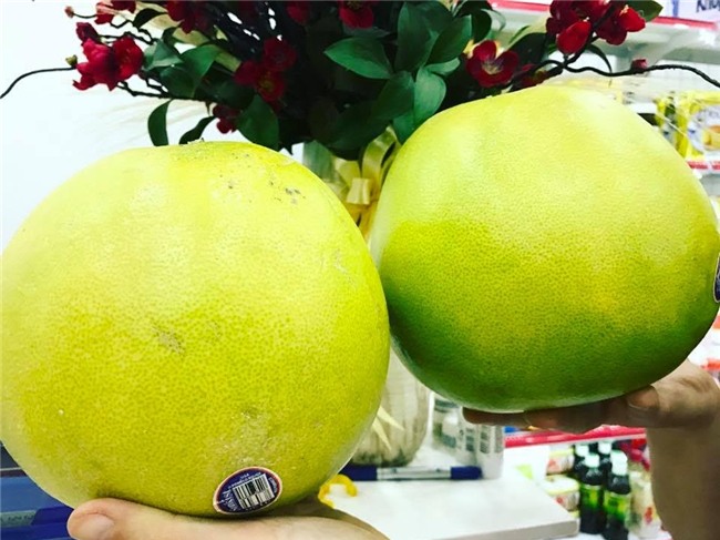 bưởi mỹ, bưởi úc, bưởi đặc sản, bưởi đặc sản Việt Nam, hoa quả nhập ngoại, hoa quả ngoại, người việt sính ngoại, quả lạ