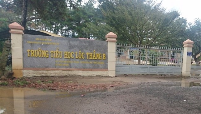 nam sinh, tiểu học Lộc Thắng B, đơn tố cáo, học bán trú