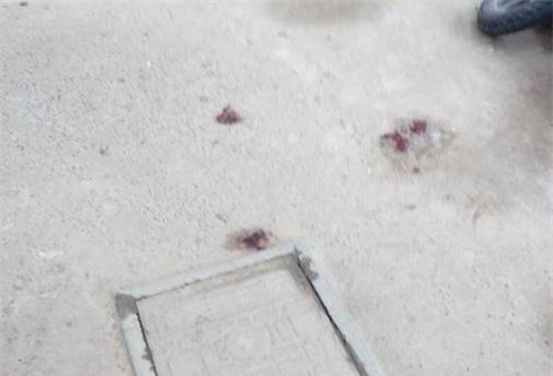 ghen ti vi me sinh em be, co be 14 tuoi nhay lau tu tu tu tang 26 - 3