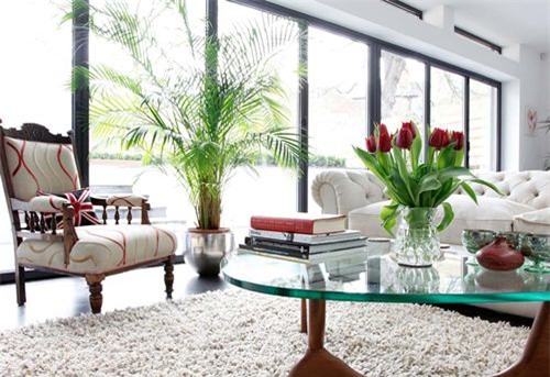 cay canh phong thuy: dat o vi tri nao trong nha de “cau gi duoc nay”? - 1