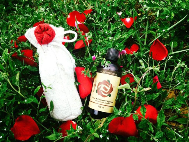 hoa hồng, vườn hoa hồng, vườn hồng bản địa, doanh thu từ vườn hồng