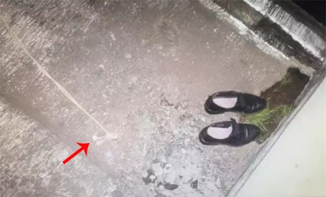 Liều lĩnh đu dây trên tầng 29 để tặng nhẫn kim cương cho cô bạn học cũ, người đàn ông U50 chết thảm - Ảnh 4.