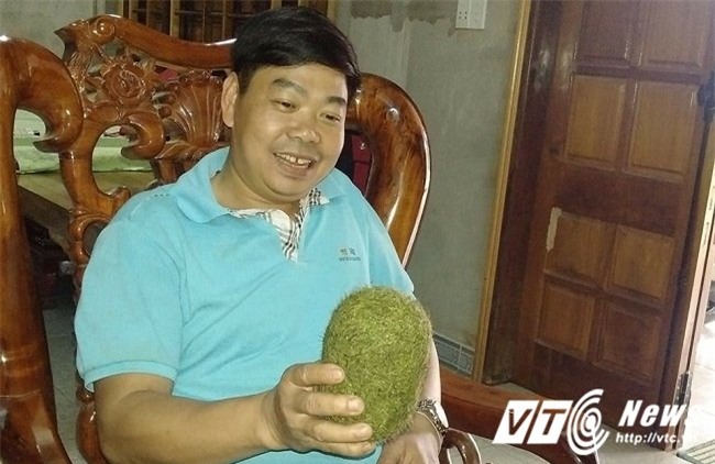 cát lợn, trư cát, lợn nái, Quảng Bình, vật thể lạ, nông dân