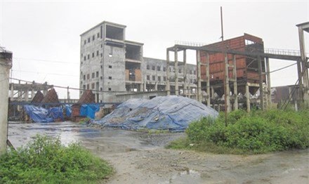 Võ Kim Cự, những di sản của ông Võ Kim Cự, Formosa,