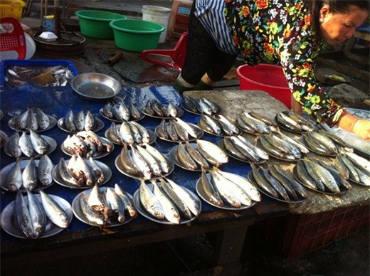 Ky la cho tren dia mot gia giua Sai Gon