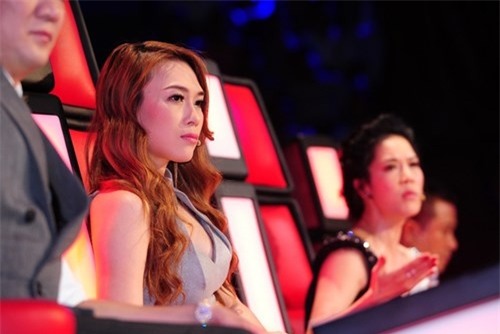 Mỹ Tâm bị ‘ném đá’ thậm tệ: Trách ai? ảnh 3