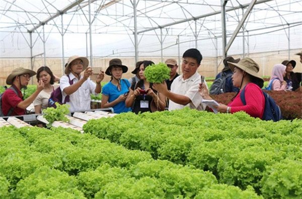 Nông nghiệp công nghệ cao, vốn cho nông nghiệp công nghệ cao, khởi nghiệp nông nghiệp công nghệ cao, đầu tư nông nghiệp