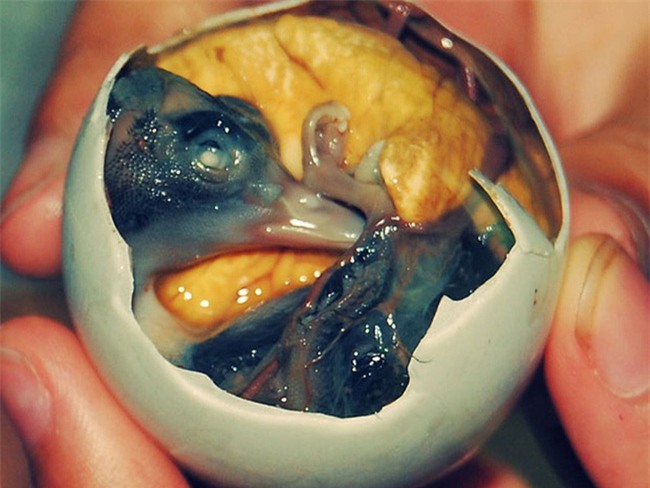 5 món trứng được xem là đặc sản nhưng không bạo miệng thì đố ăn nổi - Ảnh 13.