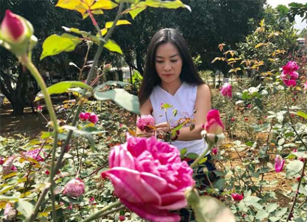 Kinh tế tuần, điểm tin kinh tế tuần, kinh tế tuần qua, cha con Trầm Bê, Hà văn Thắm, Thứ trưởng Hồ Thị Kim Thoa, Phạm Công Danh, nữ luật sư trồng hoa hồng