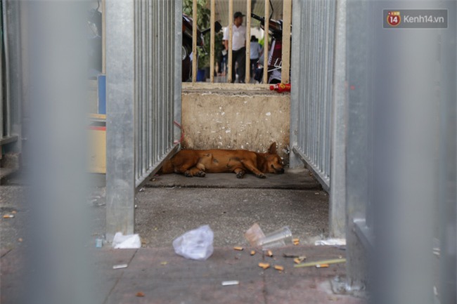 Chóng mặt vì đi bộ trên vỉa hè bị rào chắn như mê cung ở bệnh viện Chợ Rẫy Sài Gòn - Ảnh 13.