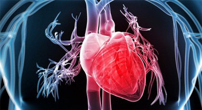 Dấu hiệu bạn phải biết để ứng phó với cơn đau tim sắp xảy đến - Ảnh 1.