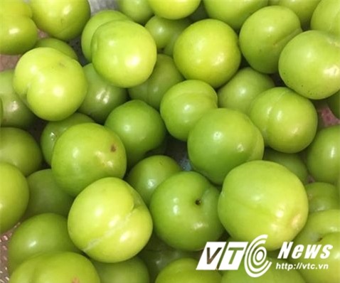 Mận, mơ, nhót đầu mùa giá 150.000 đồng/kg, người mua bị hớ nặng - Ảnh 1.