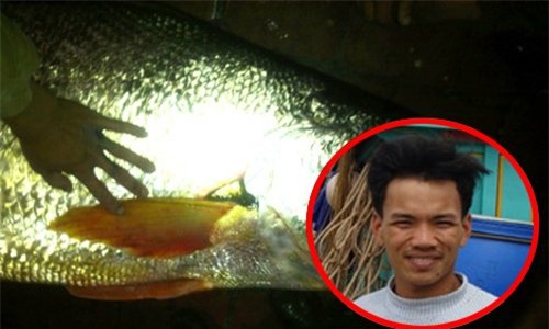 cá sủ vàng, thành tỷ phú, đổi đời, ngư dân, cá khủng, bắt được cá
