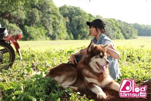 hari blogtamsuvn (12) (Custom)