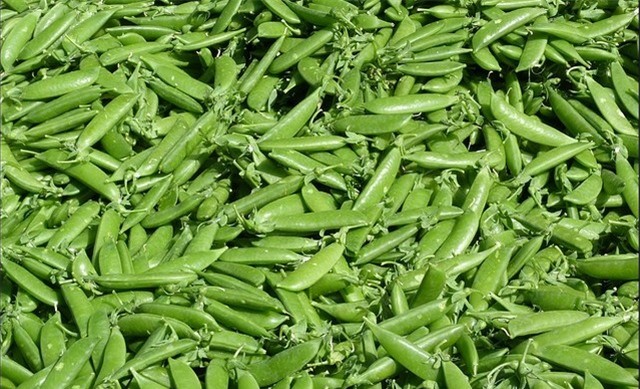 ung thư, ung thư cổ tử cung