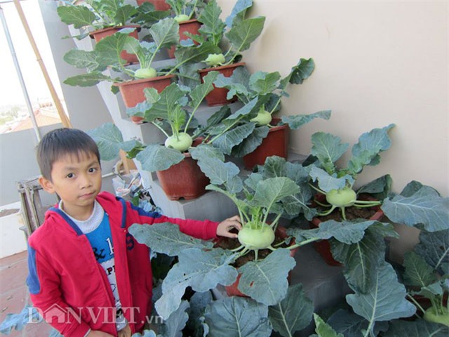 me ha thanh tiet lo cach trong