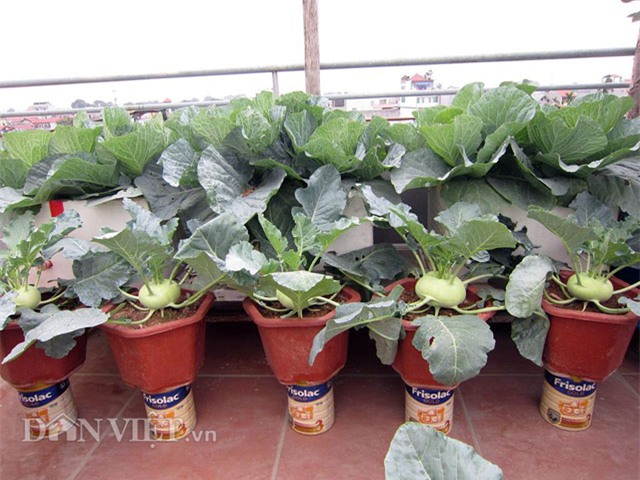 me ha thanh tiet lo cach trong