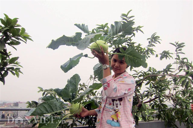 me ha thanh tiet lo cach trong