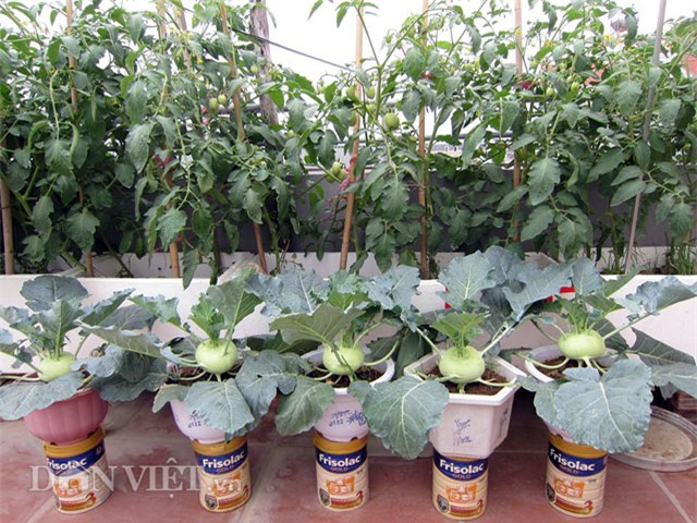 me ha thanh tiet lo cach trong