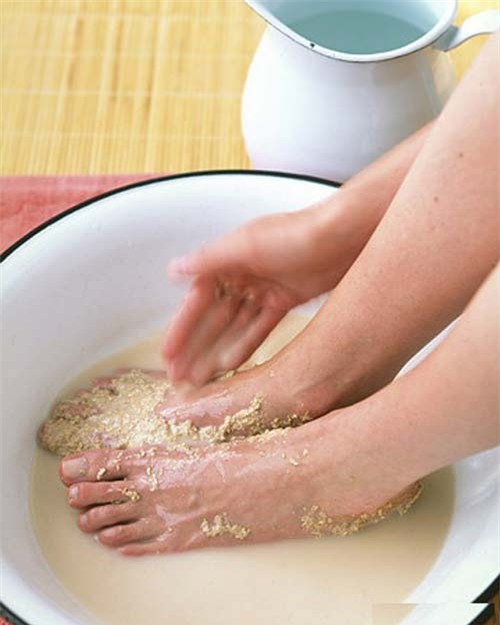 voi 4 meo nay mui hoi chan kho chiu se khong lam phien ban nua - 4