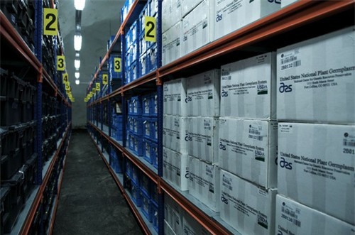 Khám phá hầm lưu trữ hàng triệu giống cây nằm sâu dưới lòng đất - 5
