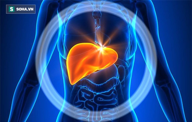 Chuyên gia cảnh báo: Người đi ngủ sau 23 giờ đêm phải đối mặt sớm với 7 căn bệnh này - Ảnh 3.