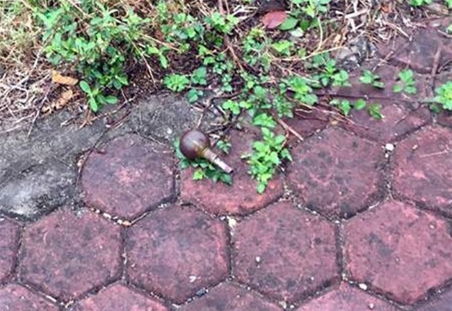 Vet truot cua nu sinh su pham theo tinh nhan buon ma tuy hinh anh 2