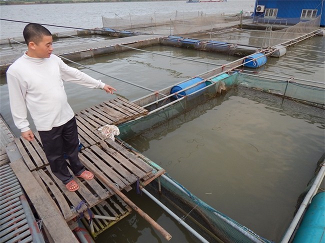 tap the hinh, ep can cho ca lang den de tao chat luong doc dao hinh anh 3