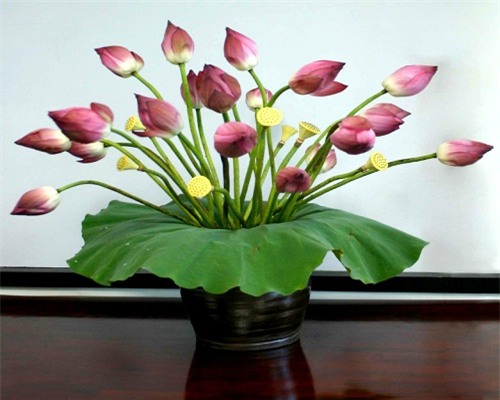 bay 5 loai hoa nay trong nha khong som thi muon, kieu gi cung giau - 1