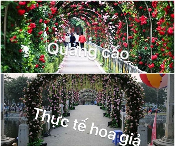 Lễ hội hoa hồng Bulgaria ở Hà Nội: Thất vọng khi thực tế khác xa hình ảnh quảng cáo - Ảnh 2.