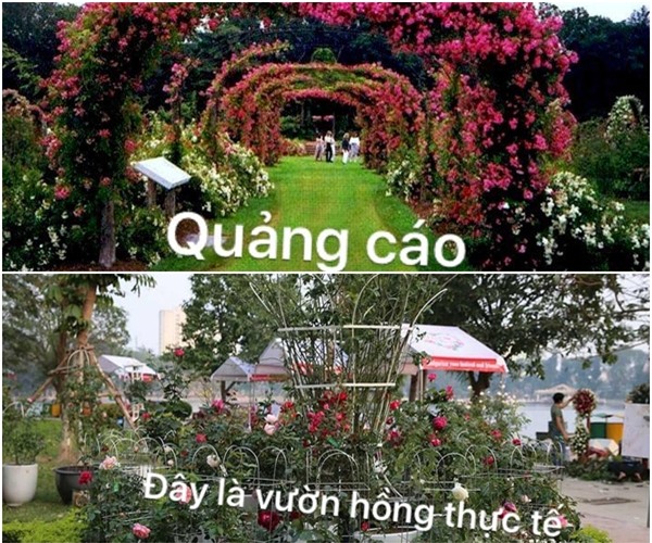 Lễ hội hoa hồng Bulgaria ở Hà Nội: Thất vọng khi thực tế khác xa hình ảnh quảng cáo - Ảnh 3.