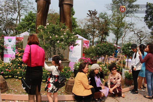 Lễ hội hoa hồng Bulgaria ở Hà Nội: Thất vọng khi thực tế khác xa hình ảnh quảng cáo - Ảnh 10.