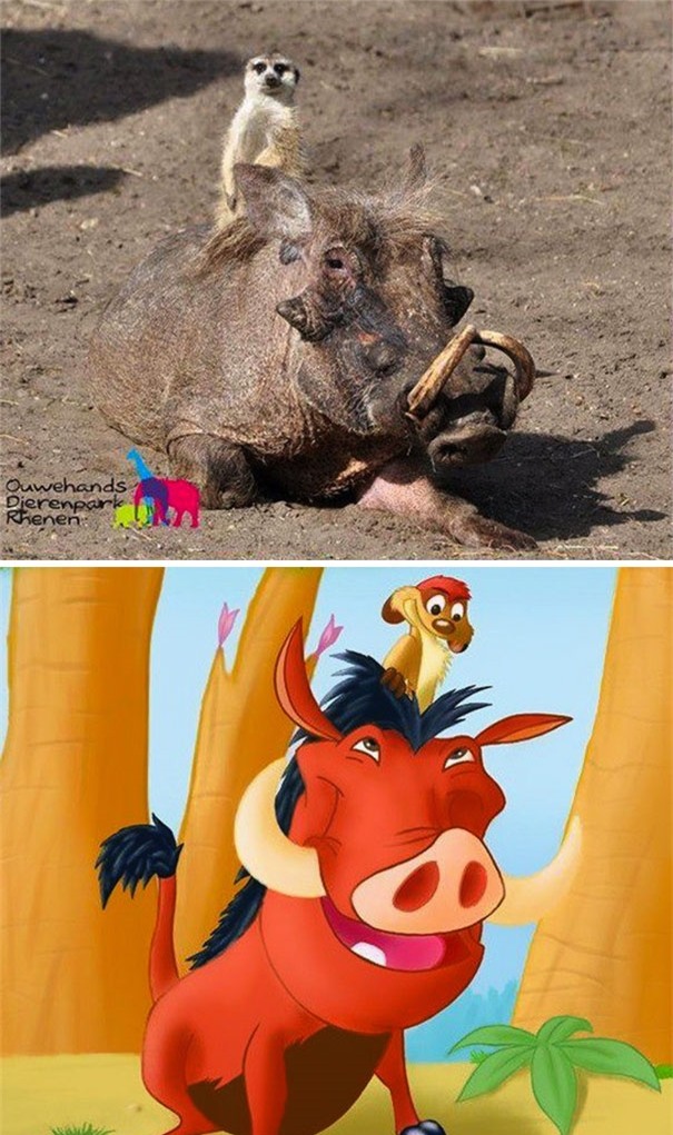 Tưởng tượng vs. Thực tế