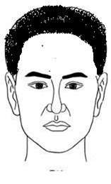 Nhìn tướng trán đoán trúng tính cách và trí tuệ của con người - Ảnh 1.