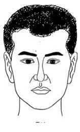 Nhìn tướng trán đoán trúng tính cách và trí tuệ của con người - Ảnh 3.